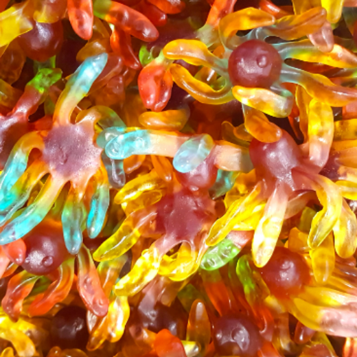 Gummy Octopus - The Toffee Bar